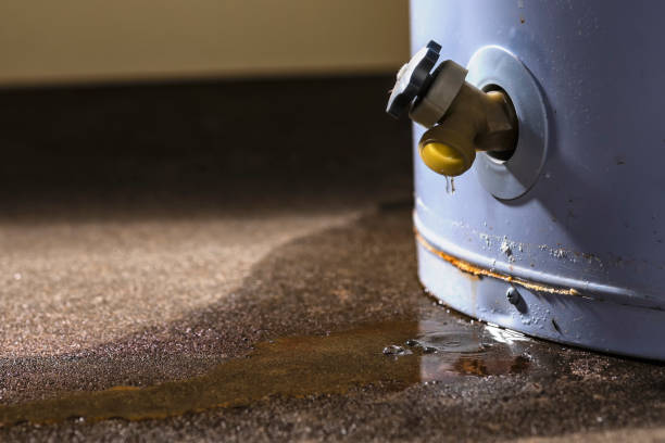 Best Water damage cleanup near me  in Hybla Lley, VA