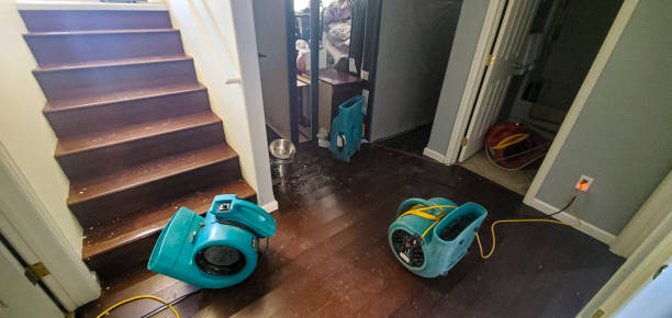 Local water damage restoration in Hybla Valley, VA