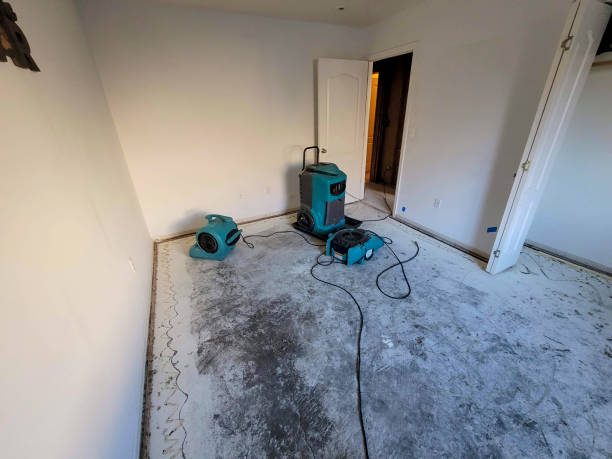 Hybla Valley, VA Water damage restoration Company