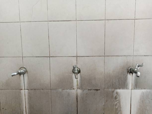 Best Emergency water damage restoration  in Hybla Lley, VA