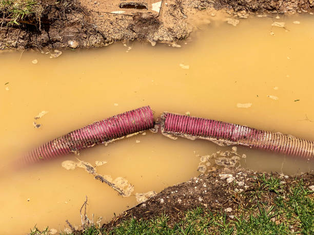 Professional Water damage restoration in Hybla Valley, VA